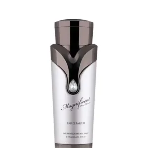 Magnificent Pour Homme